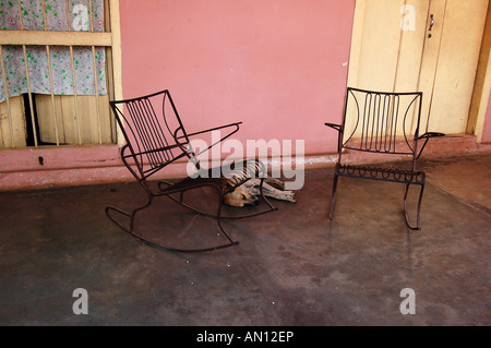 Repos à l'extérieur un chien maison rose à Cuba Banque D'Images