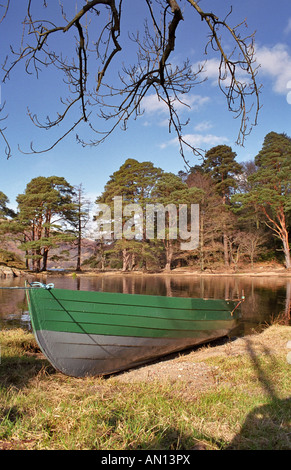 Bateau à rames en petite baie échoués sur le bord d'Ullswater Banque D'Images