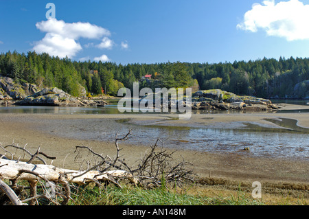 Squrriel Cove Salmon Creek Cortes Island Vancouver Isles. BC. Le Canada. BCX 0205. Banque D'Images