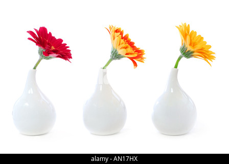 Trois vases avec gerbera isolé sur fond blanc comme élément de design d'intérieur Banque D'Images