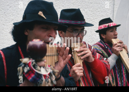 Bande d'artistes de rue, jouant de pan. L'Inde Banque D'Images