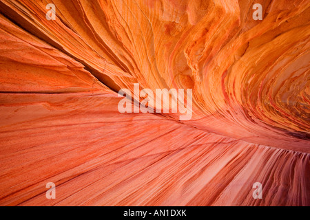 Coyote Buttes South, pierre de sable érodé, USA, Utah, l'Arizona, le Paria Canyon, Vermilion Cliffs Wilderness Area Banque D'Images