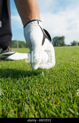 Golf Golf Golf, close-up d'une balle de golf sur un raccord en t sur le greenfee Banque D'Images