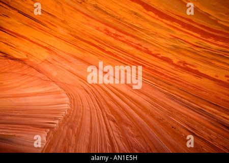 Coyote Buttes South, pierre de sable érodé, USA, Utah, l'Arizona, le Paria Canyon, Vermilion Cliffs Wilderness Area Banque D'Images