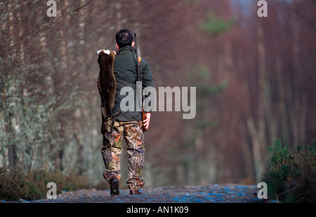 Hunter, avec chevreuils morts marcher le long de piste en forêt, Royaume-Uni, Ecosse, Strathspey Banque D'Images