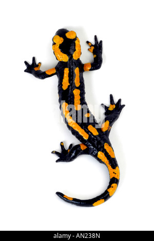 Salamandre terrestre Salamandra salamandra européenne terrestris échiquier sur rampant Banque D'Images