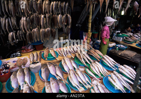 Corée, Busan, marché de Jagalchi, poissons frais, wc séparés Banque D'Images