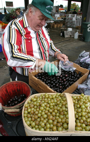 Raleigh Caroline du Nord,marché des fermiers d'État,Farmer's,Farmers',fruits,légumes,légumes,nourriture,produits,stalles stands vendeurs de stand,tradition,mar Banque D'Images
