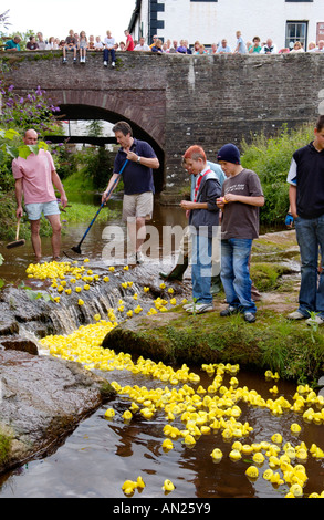 La course de canards en plastique jaune de la communauté sur la rivière Ennig partie de Talgarth annuel Festival de la Montagne Noire Powys Pays de Galles UK Banque D'Images