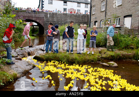 La course de canards en plastique jaune de la communauté sur la rivière Ennig partie de Talgarth annuel Festival de la Montagne Noire Powys Pays de Galles UK Banque D'Images