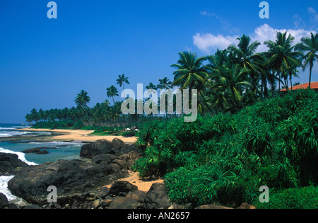 Southern City de Galle, Sri Lanka, une plage pittoresque avec des rivages de sable doré et des palmiers oscillants. Banque D'Images