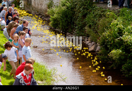 La course de canards en plastique jaune de la communauté sur la rivière Ennig partie de Talgarth annuel Festival de la Montagne Noire Powys Pays de Galles UK Banque D'Images