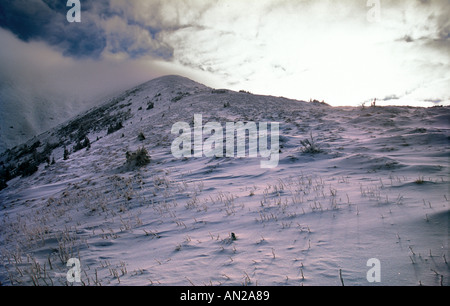 Mt Prasiva sommet, faible en hiver Parc national des Tatras, Slovaquie Banque D'Images