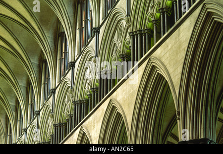 La nef de la cathédrale de Salisbury, Wiltshire, Angleterre. Arch et détails colonnade Banque D'Images