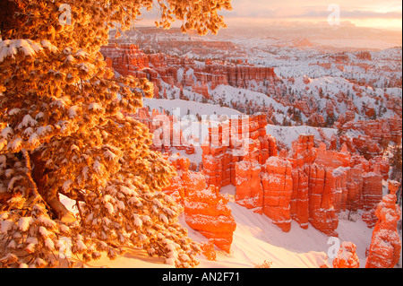 Sunset Point pendant l'hiver Bryce National Park Utah Banque D'Images