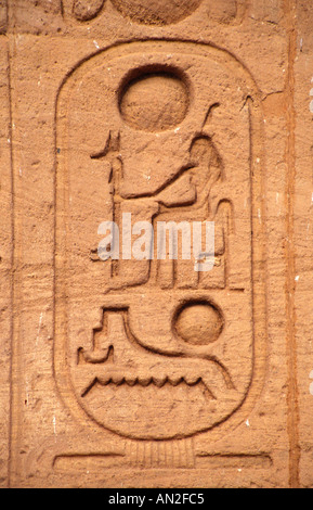 Cartouche avec hiéroglyphes sur les murs de la Temple d'Abou Simbel, Egypte Banque D'Images