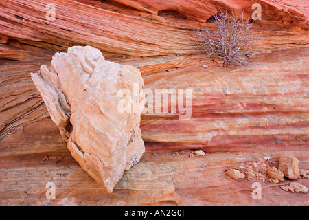 Coyote Buttes South, pierre de sable érodé, USA, Utah, l'Arizona, le Paria Canyon, Vermilion Cliffs Wilderness Area Banque D'Images