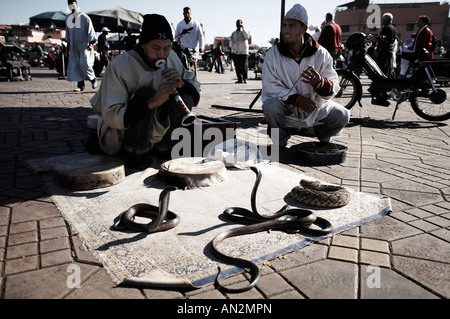 Les charmeurs de serpent au milieu de la médina, la place de Marrakech, Maroc Banque D'Images