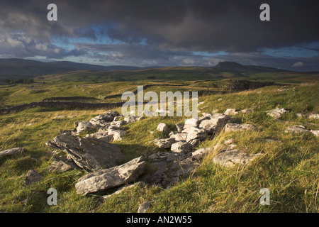 Calcaire exposés sur Yorkshire Dales moor avec stylo y gand en l'arrière-plan Banque D'Images