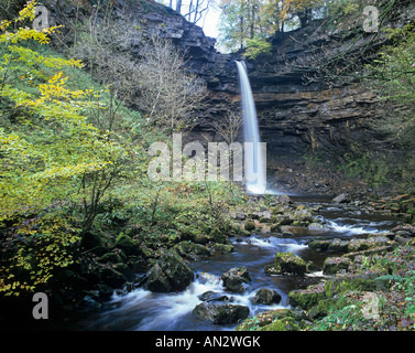 Hardraw Force est un célèbre cascade dans Wensleydale, Yorkshire du Nord Banque D'Images