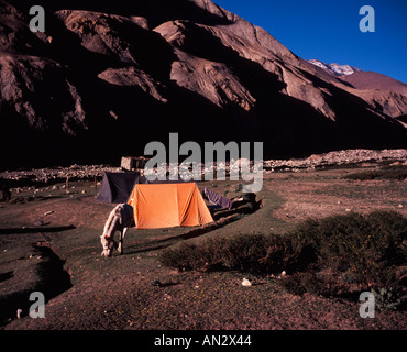 Camping à la vallée de Markha Trek Ladakh Inde Banque D'Images