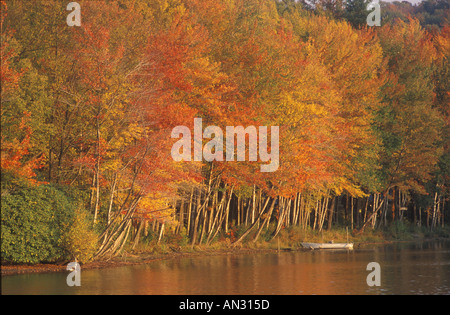 Le pittoresque lac d'automne Noximixon, Pennsylvania, USA Banque D'Images