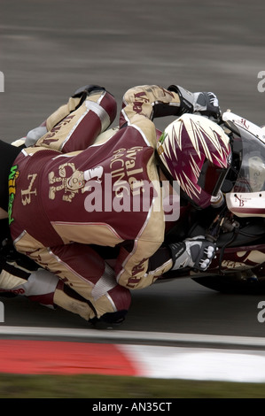 Ben Wilson Racer British Superbike à BRANDS HATCH Banque D'Images