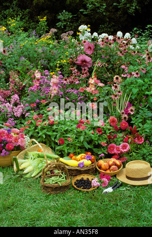 Jardin fleuri avec une varitey de fleurs roses et de paniers de fruits et légumes récoltés dans le jardin avec jardin hat et tondeuses à Midwest USA Banque D'Images