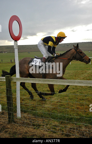 Pic martin phelps 140106 château barbury point to point knighton combe Banque D'Images