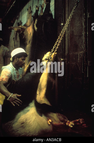 Travailleur de la viande de porc pour le traitement de l'entravement assommé dans l'usine de conditionnement des viandes Banque D'Images