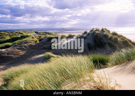 Dunes côtières de la côte Costa Daurada Lancashire England UK ammophile paysage plage mer sable English Banque D'Images