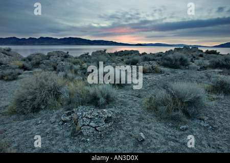 Pyramid Lake dans le Nevada Banque D'Images