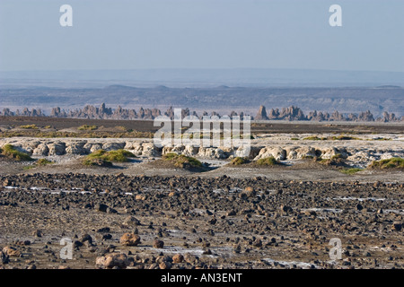 Lac Abbe, Djibouti, Afrique Banque D'Images