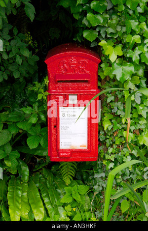 Post box en hedge Devon UK Banque D'Images