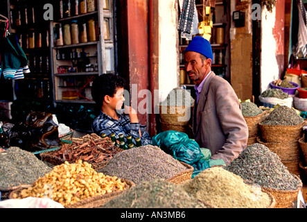 Les marocains, l'homme marocain marocain, garçon, père et fils, vendeur, marché, marché, Medina, Marrakech, Marrakech, Maroc, afrique province Banque D'Images