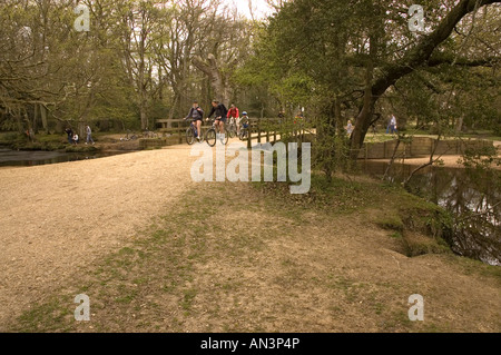 Bolderford Bridge près de New Forest Brockenhurst Hampshire England UK Banque D'Images