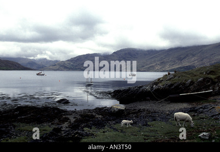 Loch Hourn ouest des Highlands en Écosse Banque D'Images