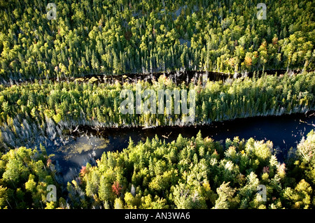 Forêt mixte de feuillus et de résineux avec petit lac étang de castors près de Dalhousie Nouveau-Brunswick Canada Banque D'Images