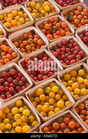 Tomates cerises dans des paniers au marché de producteurs ; pasco pasco, Columbia Valley, Washington, USA Banque D'Images