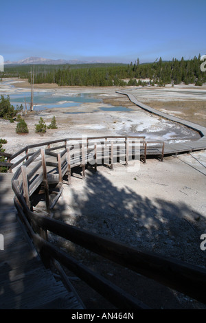 Passage à niveau de la promenade du bassin en porcelaine, Norris Geyser Basin, Parc National de Yellowstone Banque D'Images