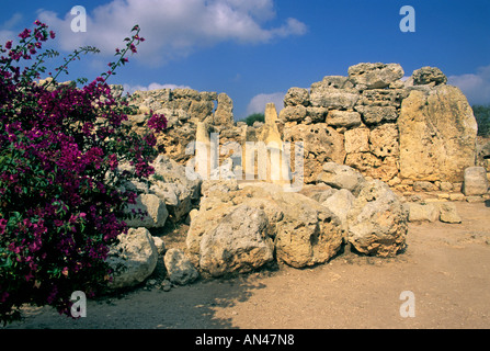 Ggantija (Giant's) / temple mégalithique néolithique sur Gozo, Malte Banque D'Images