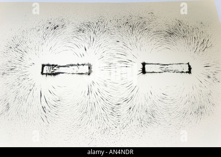 Les lignes de champ magnétique autour d'un barreau aimanté illustré avec de la limaille de fer, pôles opposés s'attirent. Banque D'Images