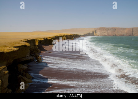 Plage et falaises où le désert d'Atacama rencontre l'océan Pacifique près de Parc National de Paracas Ica Pérou Pisco Banque D'Images