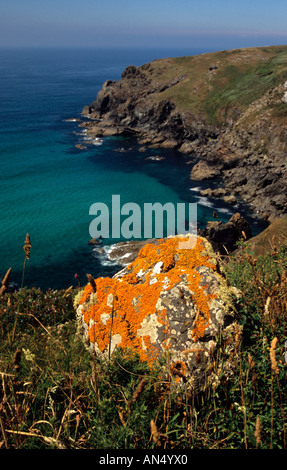 Ogo-Dour Cove Péninsule du Lézard Angleterre Cornwall Banque D'Images