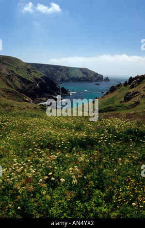 Vue de falaises d'Ogo-Dour Cove Angleterre Cornwall Banque D'Images