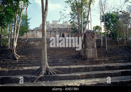 VIII à la structure ruines Maya de Calakmul, Campeche, Mexique Banque D'Images