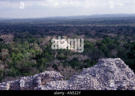 Vue de la réserve de Calakmul Bisophere depuis le haut de la structure II, la grande pyramide de les ruines Maya de Calakmul, Campeche Banque D'Images