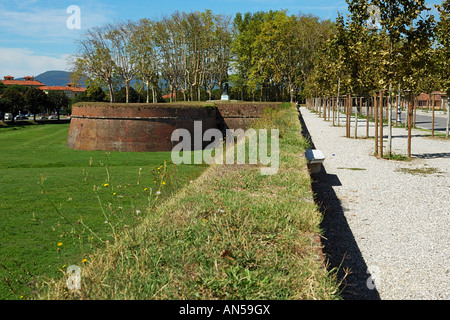 Remparts, Lucca, Italie Banque D'Images