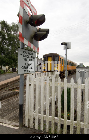 Diesel train à la plate-forme de Dolau gare sur la ligne de Cœur du Pays de Galles Powys Pays de Galles Banque D'Images