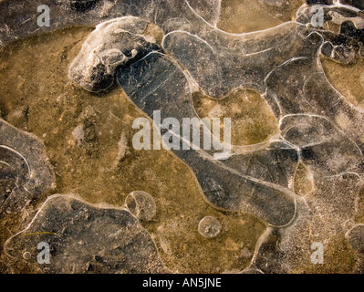 Les modèles de l'eau congelée de cailloux et de glace bulles d Banque D'Images
